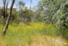 6 Durham Street, Eaglehawk, Vic 3556-Image