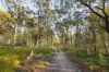 6 Dynasty Court, Alexandra Hills, Qld 4161-Image