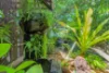 6 Edgecumbe Court, Gray, NT 0830-Image
