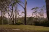 6 Esperanto Court, Kearneys Spring, Qld 4350-Image