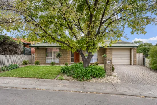 6 Essling Place, Greenwith, SA 5125