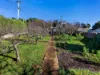 6 Exhibition Street, Brooklyn, Tas 7320-Image