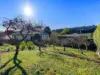 6 Exhibition Street, Brooklyn, Tas 7320-Image