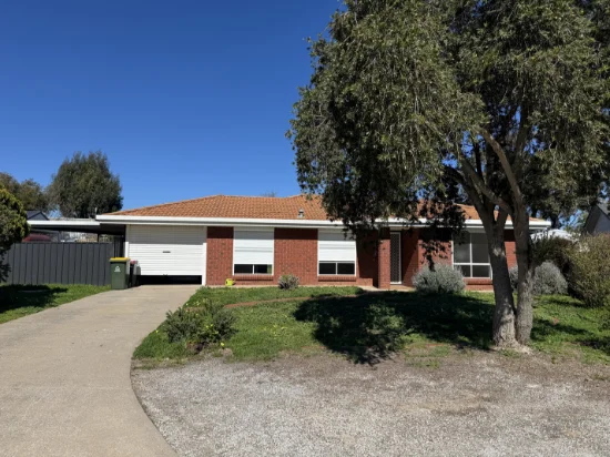 6 Flinders Street, Nuriootpa, SA 5355
