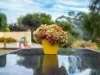 6 Frenchs Road, Somerset, Tas 7322-Image