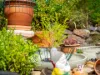 6 Frenchs Road, Somerset, Tas 7322-Image