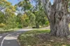 6 Greenfield Street, Hindmarsh Valley, SA 5211-Image
