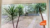 6 Hakea Way, Metford, NSW 2323-Image