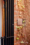 6 Halfey Lane, Kew, Vic 3101-Image