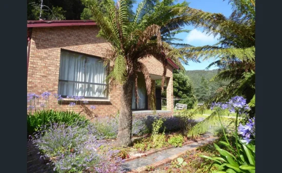 6 Harvey Street, Queenstown, Tas 7467