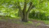 6 Haunted Hills Road, Newborough, Vic 3825-Image