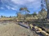 6 Headlam Road, Reynolds Neck, Tas 7304-Image