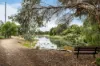 6 Heard Avenue, Mawson Lakes, SA 5095-Image