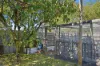 6 Henry Place, Brighton, Tas 7030-Image