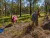 6 Hillview Drive, Muirlea, Qld 4306-Image