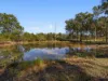 6 Hillview Drive, Muirlea, Qld 4306-Image