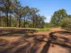 6 Hillview Drive, Muirlea, Qld 4306-Image