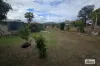 6 Hoffman Street, Wandoan, Qld 4419-Image