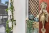 6 Holst Place, Currumbin Waters, Qld 4223-Image