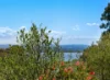 6 Hoskin Street, Eagle Point, Vic 3878-Image