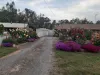6 Hurt Street, Violet Town, Vic 3669-Image