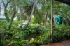 6 Ireland Street, Millicent, SA 5280-Image