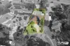 6 Irwin Place, Wentworthville, NSW 2145-Image