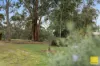 6 Jay Rd, Foster, Vic 3960-Image