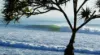 6 Joy Avenue, Burleigh Waters, Qld 4220-Image