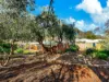 6 Jubilee Way, Wynn Vale, SA 5127-Image
