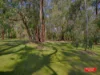 6 Kangaroo Rise, Koonwarra, Vic 3954-Image