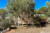 6 Karee Court, Larapinta, NT 0875-Image