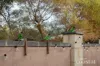 6 Kawana Grove, Meadow Springs, WA 6210-Image