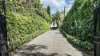 6 Kinane Street, Brighton, Vic 3186-Image