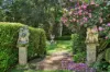 6 Kondalilla Falls Road, Montville, Qld 4560-Image