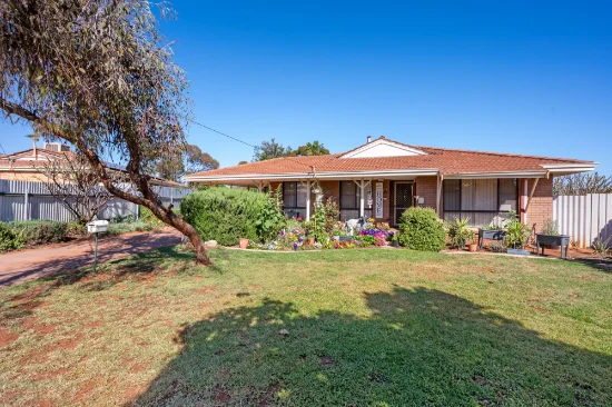 6 Kyle Place, Hannans, WA 6430