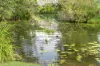 6 Lander Way, Mooloolah Valley, Qld 4553-Image