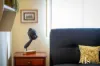 6 Langdon Lane, Bellmere, Qld 4510-Image