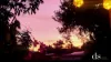 6 Langdon Lane, Bellmere, Qld 4510-Image