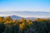 6 LATROBE COURT, Wodonga, Vic 3690-Image
