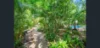 6 Lippia Circuit, Karama, NT 0812-Image