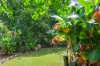 6 Lippia Court, Karama, NT 0812-Image