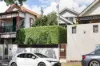 6 Llewellyn Street, Balmain, NSW 2041-Image