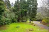 6 Lloyds Road, Powelltown, Vic 3797-Image