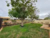 6 Lukis Place, Carnarvon WA 6701-Image