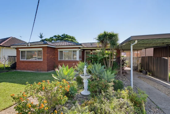 6 McCrossin Avenue, Birrong NSW 2143-Image