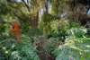 6 McLean Crescent, West Wodonga, Vic 3690-Image