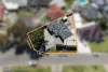 6 McMahon Place, Seaton, SA 5023-Image