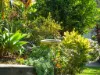 6 Midler Place, McDowall, Qld 4053-Image