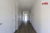 6 Miles Street, Elizabeth Downs, SA 5113-Image